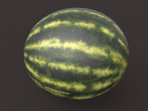 Watermelon 3D Model
