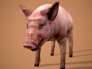 Dirty pig Modelo 3D
