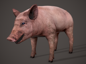 Dirty pig Modelo 3D