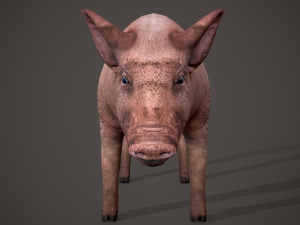 Dirty pig Modelo 3D