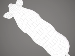 Dirty pig 3D Model