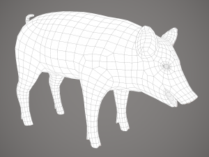 Dirty pig Modelo 3D