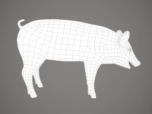 Dirty pig 3D Model