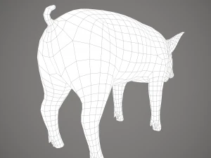 Dirty pig 3D Model