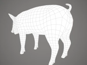 Dirty pig 3D Model