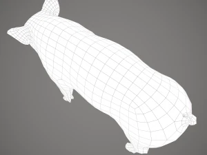 Dirty pig 3D Model