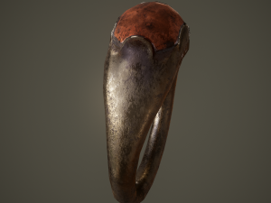 Ancient ring Modello 3D