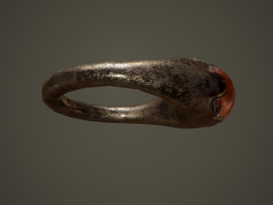 Ancient ring Modello 3D