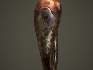 Ancient ring Modello 3D