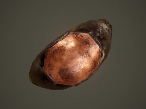 Ancient ring 3D Model