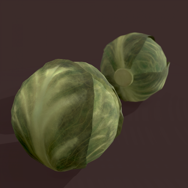 cabbage 3D Модель .c4d .max .obj .3ds .fbx .stl .blend 