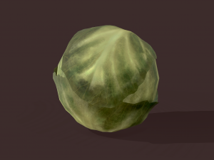 cabbage 3D Модель