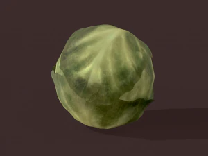 cabbage 3D Model