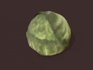 cabbage 3D Model