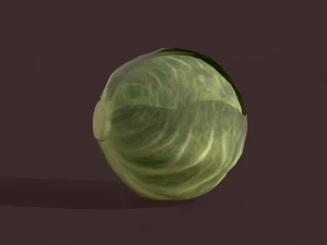cabbage 3D Model