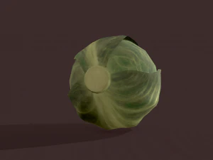 cabbage 3D Model