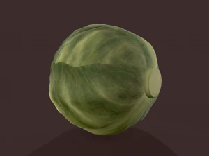 cabbage 3D Model