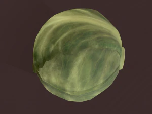 cabbage 3D Model
