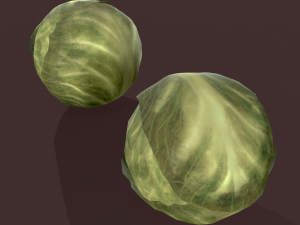 cabbage 3D Модель