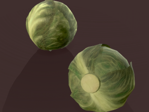cabbage 3D Модель