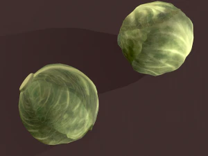 cabbage 3D Model