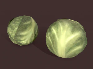 cabbage 3D Model