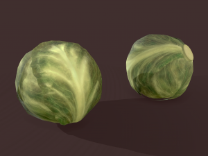 cabbage 3D Модель