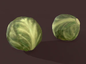 cabbage 3D Model