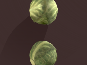 cabbage 3D Модель