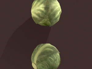 cabbage 3D Model