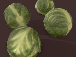 cabbage 3D Model