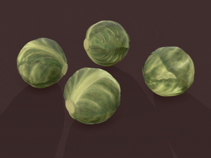 cabbage 3D Модель