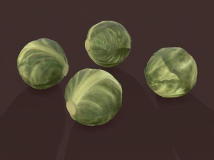 cabbage 3D Model