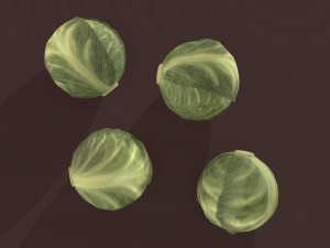 cabbage 3D Модель