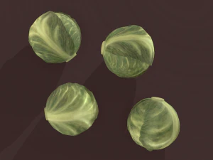 cabbage 3D Model
