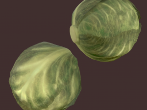 cabbage 3D Модель