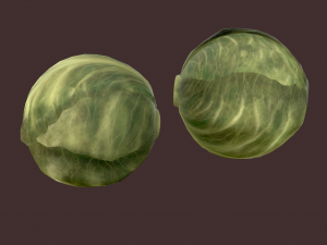 cabbage 3D Модель