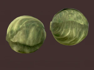 cabbage 3D Model