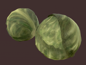 cabbage 3D Модель