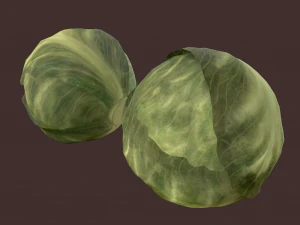 cabbage 3D Model