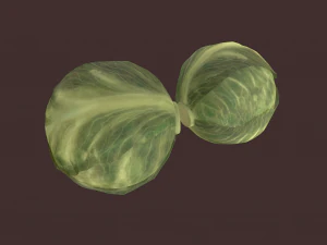 cabbage 3D Model