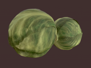 cabbage 3D Модель