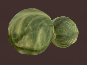 cabbage 3D Model