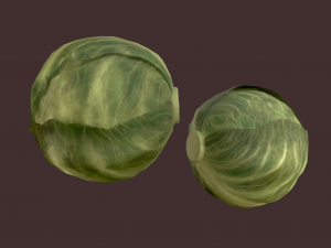 cabbage 3D Модель