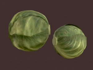 cabbage 3D Model