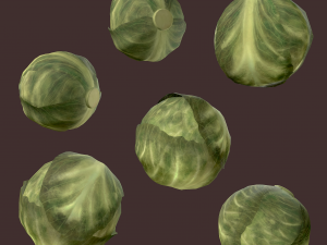 cabbage 3D Модель