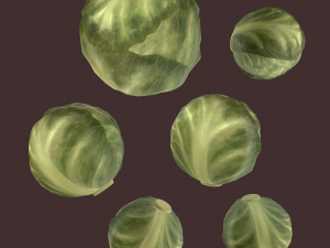 cabbage 3D Модель