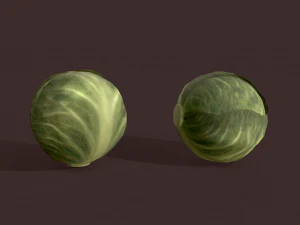 cabbage 3D Model