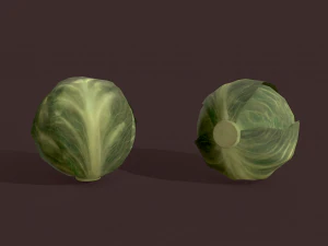 cabbage 3D Model