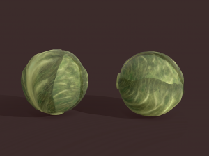 cabbage 3D Модель